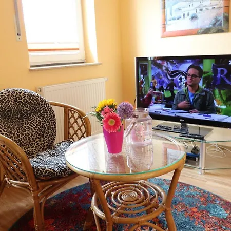 Wiesengrund - 55-36 *